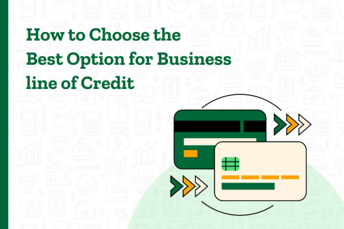 Business Line of Credit - BitX Capital