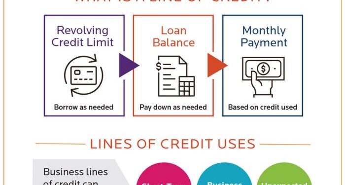Types of Business Loans: Your Different Options Explained